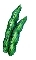 Erbse